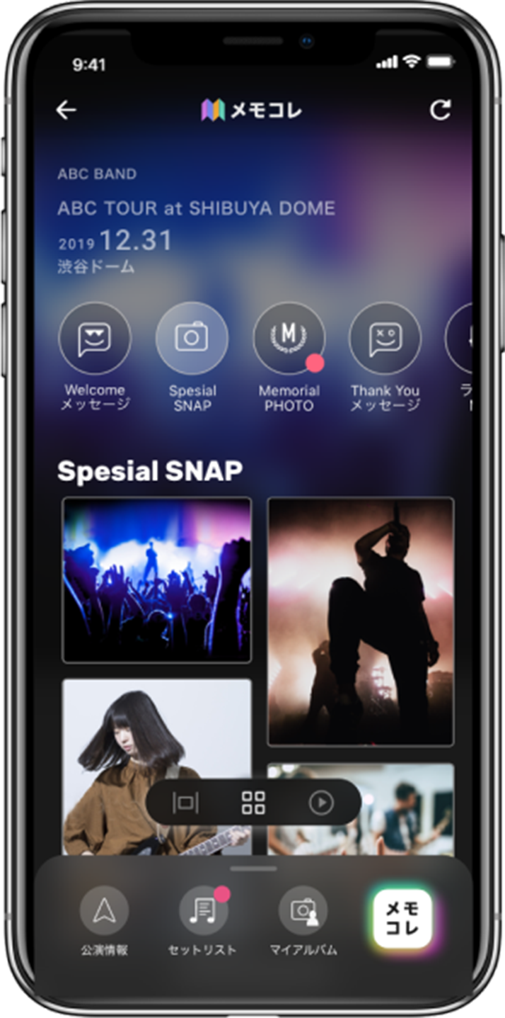 メモコレパックの例